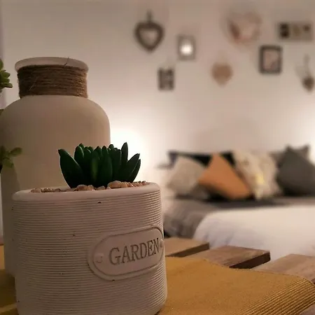 Exer Iv Apartamento *