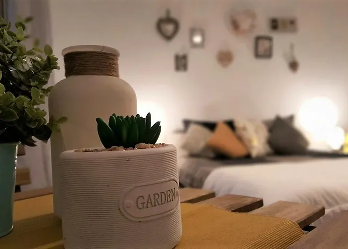 Exer Iv Apartament *